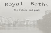 My Warsaw - Royal Baths Park