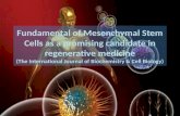 Fundamental of mesenchymal stem cells as a promising candidate in regenerative medicine