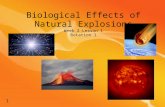 Biological effects of_natural_explosions 1