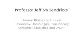 Human Biology Lecture On Taxonomy Homologies Evolutionary Systemics Cladistics And Brains