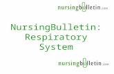 Nursing Bulletin Respiratory System