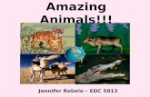 Amazing animals web quest