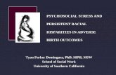 Psychosocial Stress and Persistent Racial Disparities in Adverse Birth Outcomes