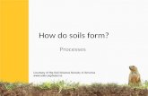 Soil formation-processes