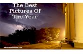 Best Pictures Of The Year 2007