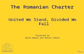ICAWC 2011: David Newall and Raluca Simon - The Romanian Charter