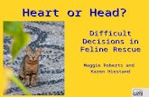 ICAWC 2012 : Maggie Roberts and Karen Heistand Heart or Head Difficult Decisions in Feline Rescue