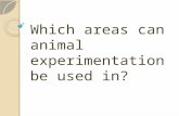 Which areas can animal experimentation be used in