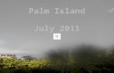 Palm island july 2011