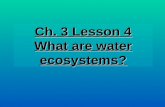 3rd Grade Ch. 3 Lesson 4 What are Water Ecosystems