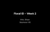 Floral ID Week 2