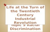 Topic 9 racial discrimination Industrial Era