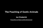 Poaching- Ian Freiderick
