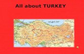 Turkey's Presentation