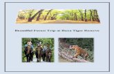 Beautiful Forest Trip at Buxa Tiger Reserve