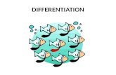 Differentiation in the classroom