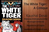 The White Tiger: A critique by Kaushal Desai