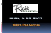 Malvern, PA Tree Service