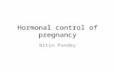 Hormonal control of pregnancy