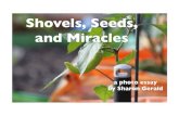 Shovels, Seeds, and Miracles