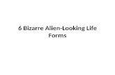 6 bizarre alien looking life forms
