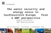 The water Security and Energy Nexus in Southeastern Europe from a WWF Perspective presented by  Angela Klauschen, WWF Mediterranean at GWP CP Meeting  2010