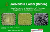Jainson Labs (India) Meerut  india