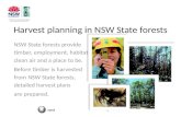 Harvest planning in nsw state forests