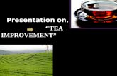 Tea improvement By- Shivanand M. R