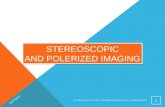 Stereoscopic and Polerized imaging