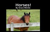 Horses by grace ritchie