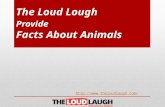 The Loud Lough Provide Fact About Animals