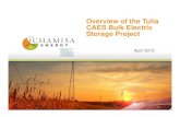 Compressed Air Wind Energy Storage