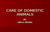 Care of domestic animals