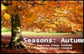 Seasons: Autumn sci102