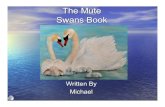 5 B Mute Swan