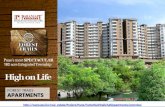 Paranjape forest trails apartments in bhugaon  best in Pune
