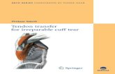 Tendon transfer for_irreparable