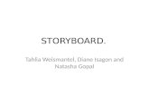 Storyboard for IST