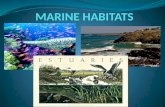 Marine habitats