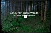 Gone From These Woods by Donny Bailey Seagraves, a book trailer