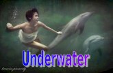 Underwater   ildy