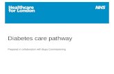 Appendix 3: Diabetes care pathways