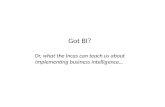 Got BI? Or what the Incas can teach us about implementing Business Intelligence.