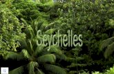 Seychelles (v.m.) [v]