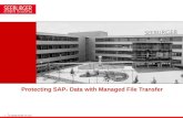 Protecting SAP® Data with Managed File Transfer