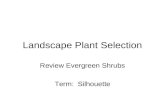 11 12 Landscape Plant Selection
