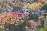 Temperate deciduous forest flora & fauna