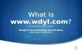 Analysis of Google's Leaked WDYL.com Campaign