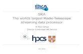 The SKA Project - The World's Largest Streaming Data Processor